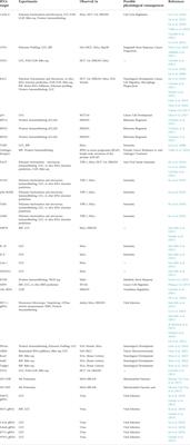 The human DEAD-box helicase DDX3X as a regulator of mRNA translation